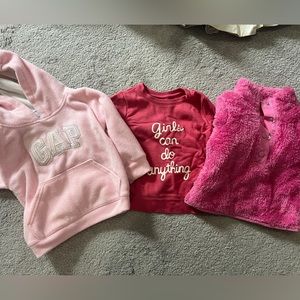 2T Toddler Girl Fall/Winter Clothing Lot